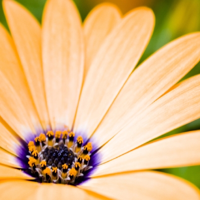 folksonomy | what is