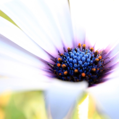 folksonomy | solutions