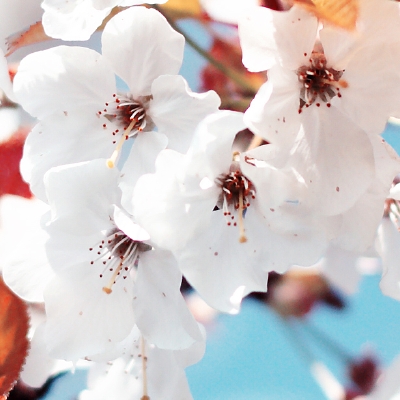 folksonomy | what is